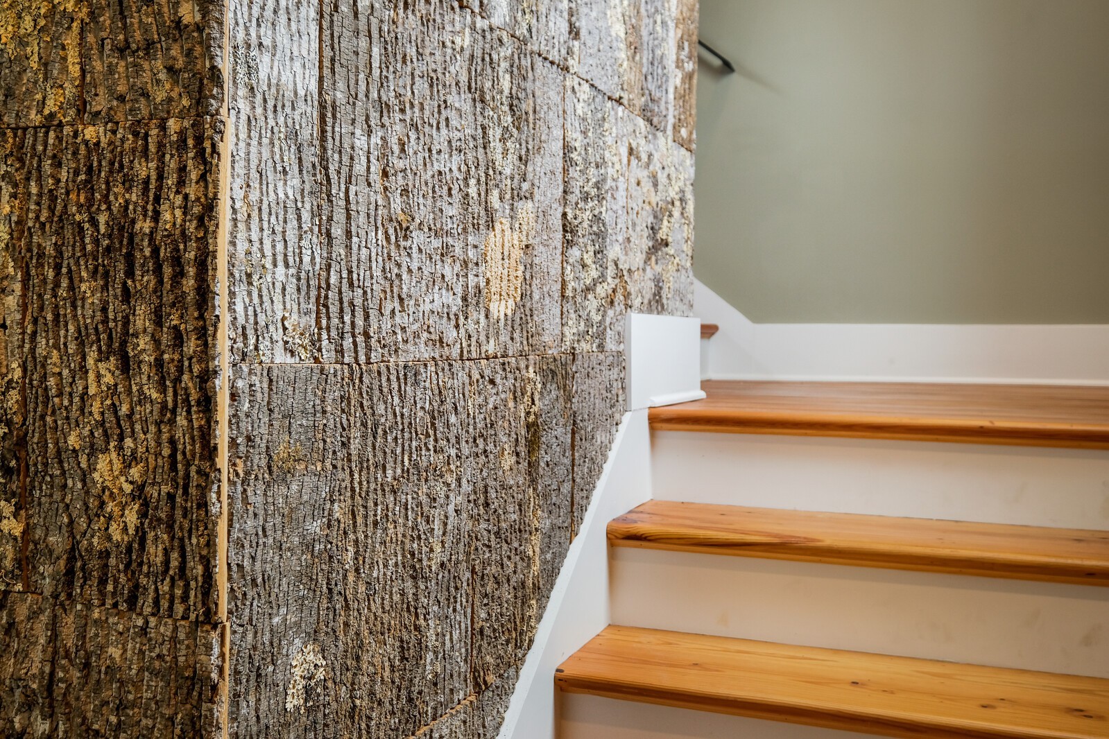 5304 Old Harding Road Franklin, TN 37064 - Photo 7 of 67 a bathroom with a shower curtain and a toilet