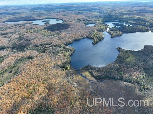 5800 Wolf Lake Road Watersmeet, MI 49969 - Photo 85 of 86