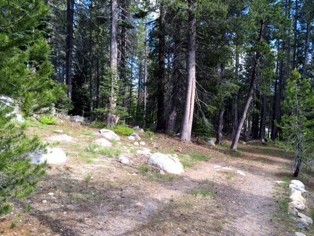 21227 Donner Pass Road Soda Springs, CA 95728 - Photo 7 of 7 Gallery Image 7