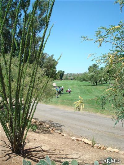9985 North Desert Sky Road Oro Valley, AZ 85737 - Photo 31 of 43 a view of a park