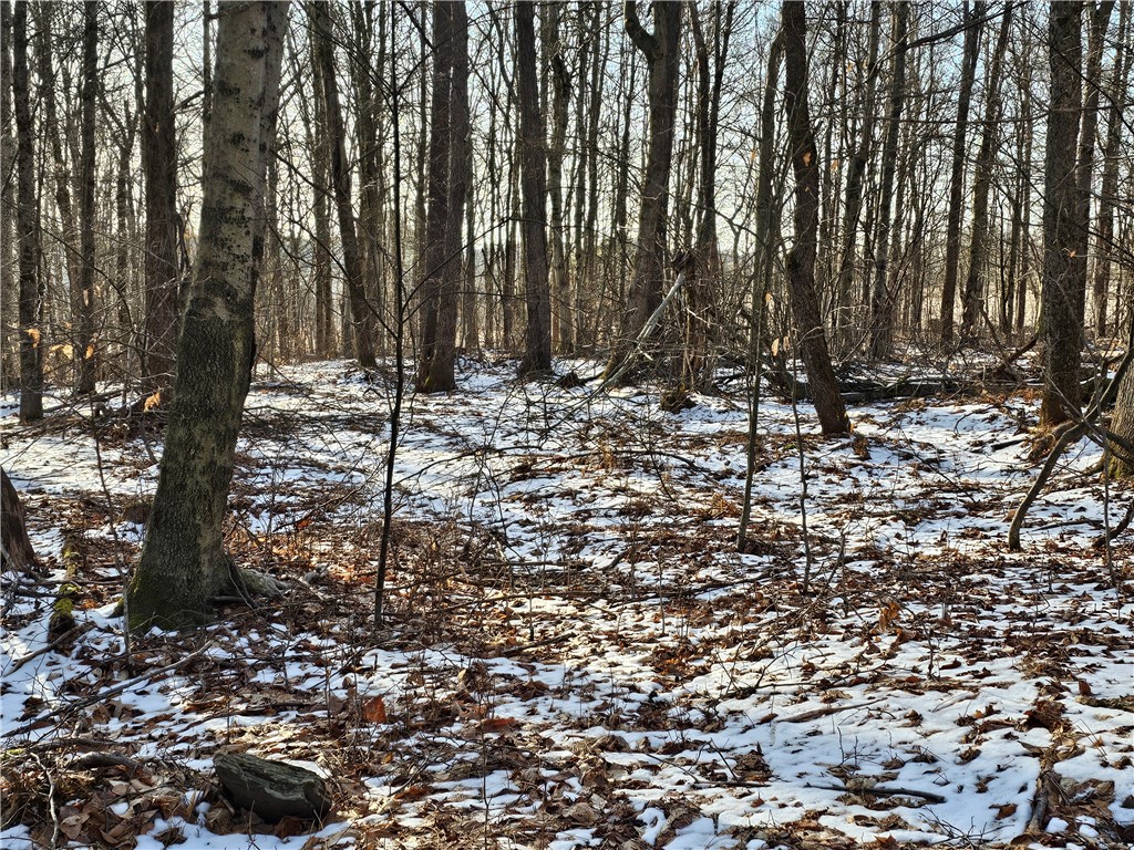 513 Wilbur Hill Road Butternuts, NY 13849 - Photo 1 of 1 Gallery Image 1