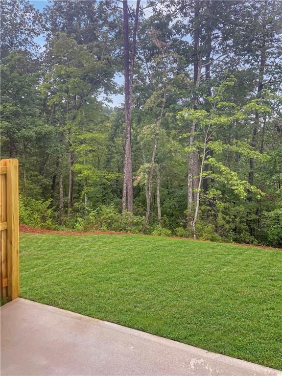55 Rustin Ridge Dahlonega, GA 30533 - Photo 5 of 5