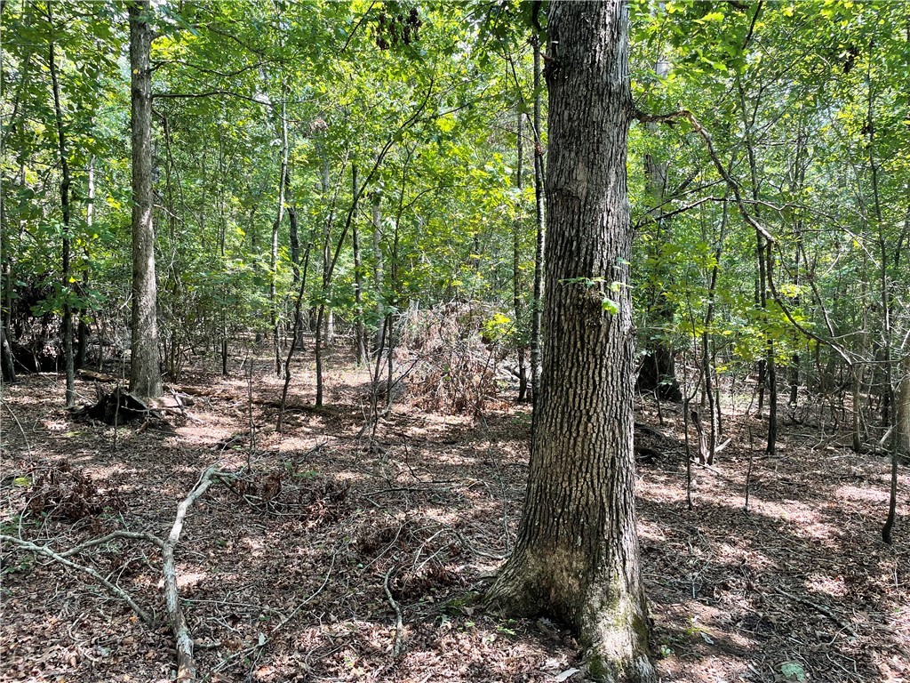0 River Road Piedmont, SC 29673 - Photo 8 of 31 Gallery Image 8