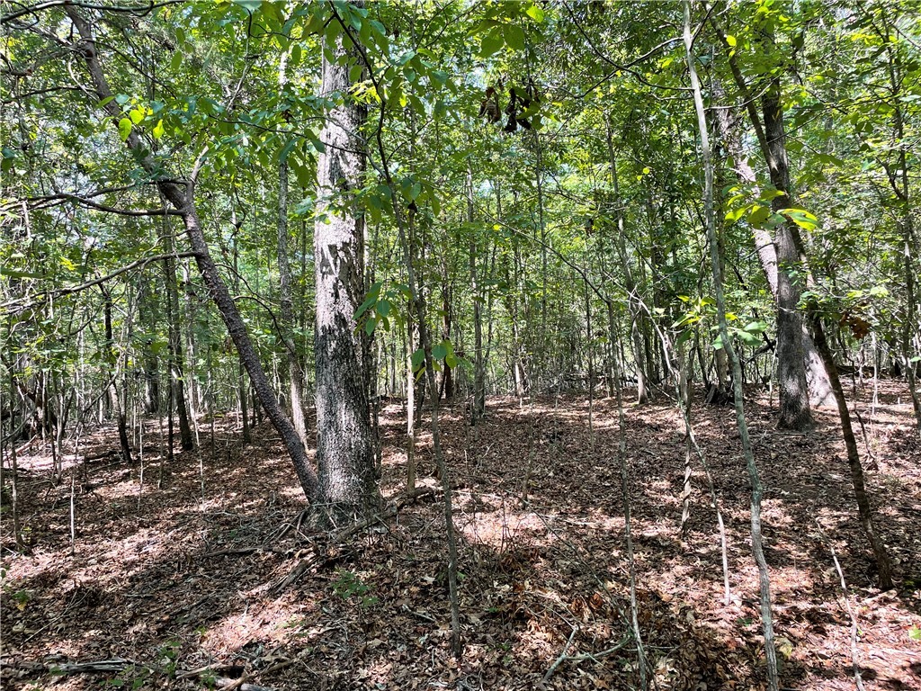 0 River Road Piedmont, SC 29673 - Photo 10 of 31 Gallery Image 10