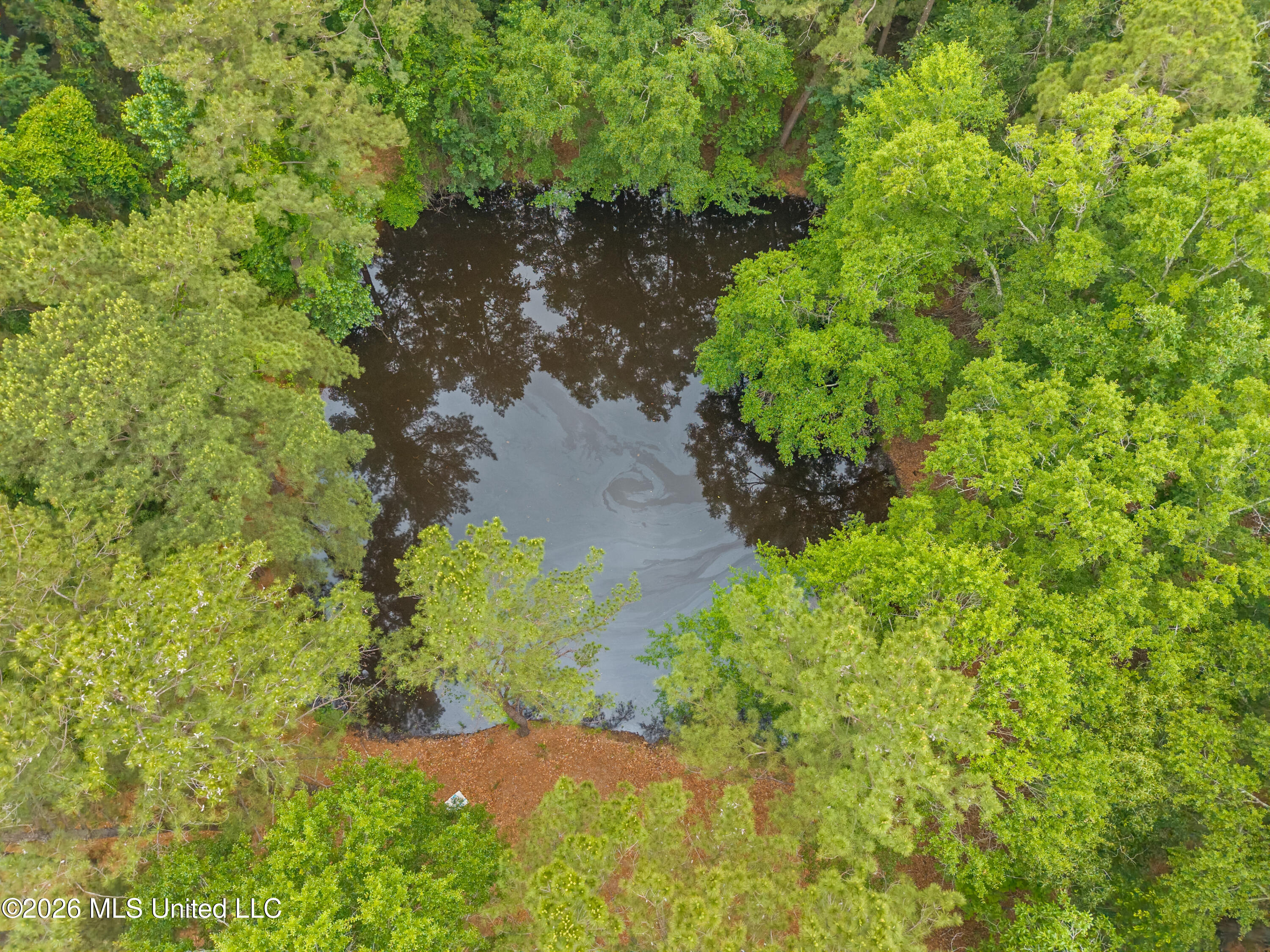 16 Victory Ranch Road Petal, MS 39465 - Photo 56 of 60 16_Victory_Ranch_Road-56