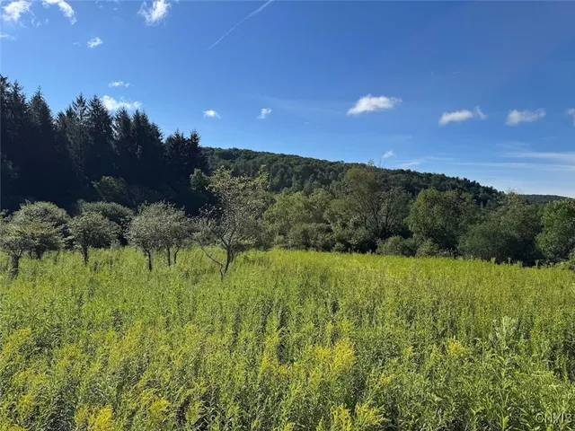 $17,900 | East Valley Road, Andover, NY 14806