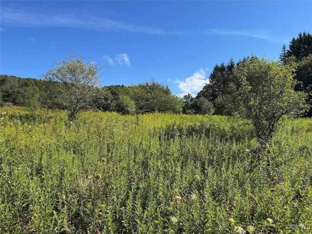 East Valley Road Andover, NY 14806 - Photo 12 of 13