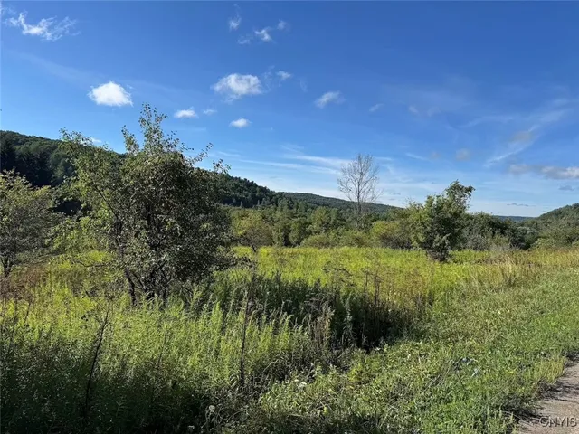 $17,900 | East Valley Road, Andover, NY 14806