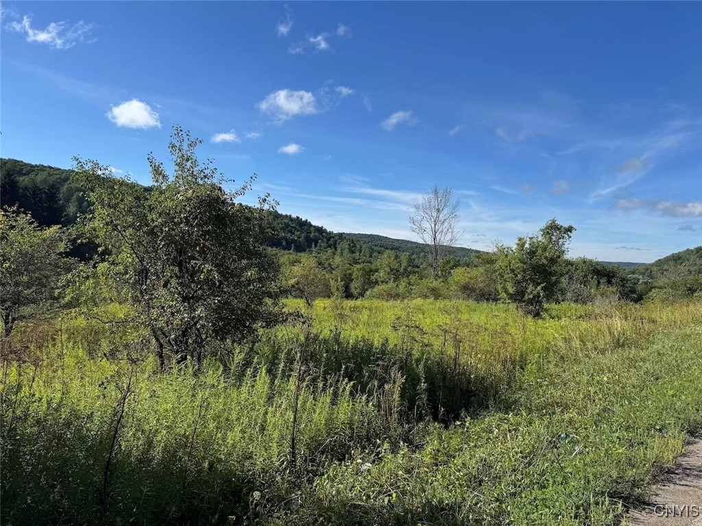 East Valley Road Andover, NY 14806 - Photo 9 of 13