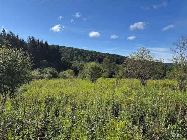 $17,900 | East Valley Road, Andover, NY 14806