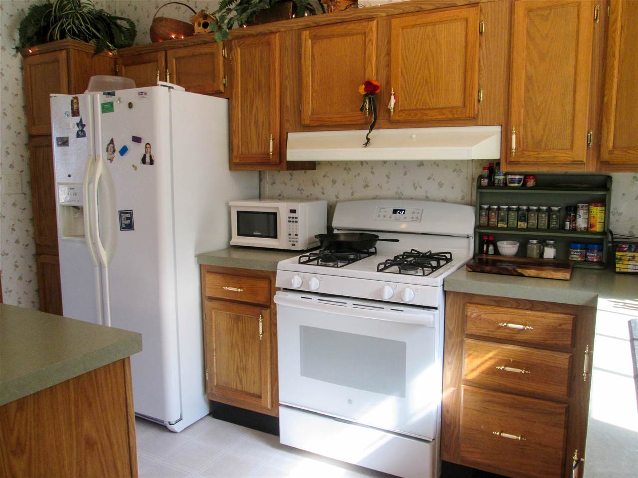 568 Dorman Road Northeast Kalkaska, MI 49646 - Photo 5 of 31 1880463-4.JPG
