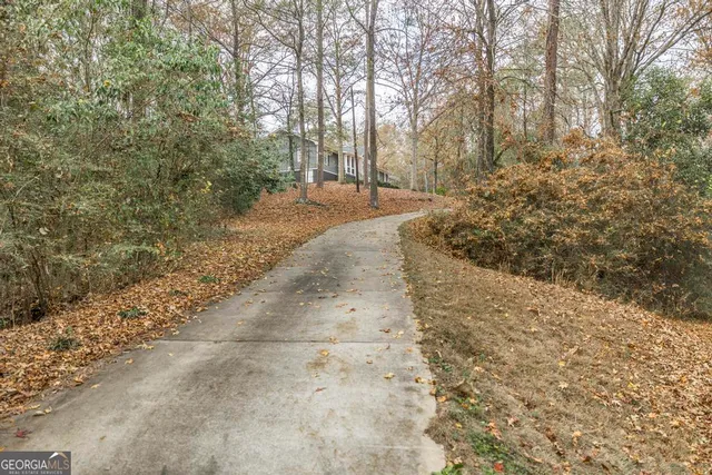 a view of a yard with trees