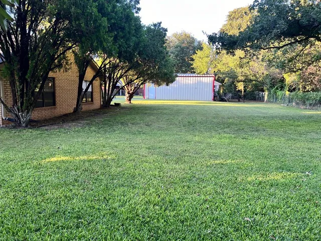a view of yard with tree