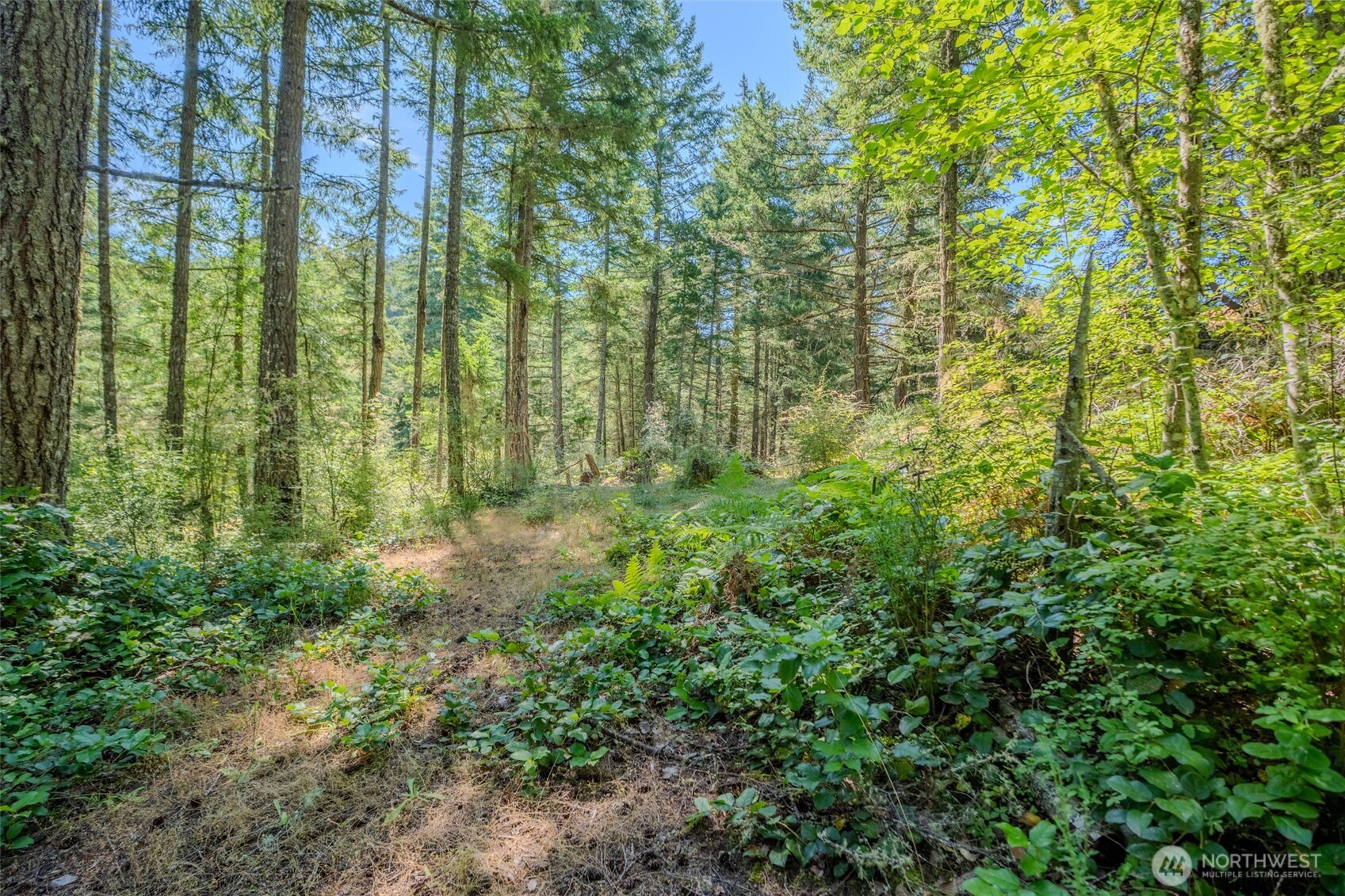 678 Swan Road Orcas Island, WA 98245 - Photo 8 of 39