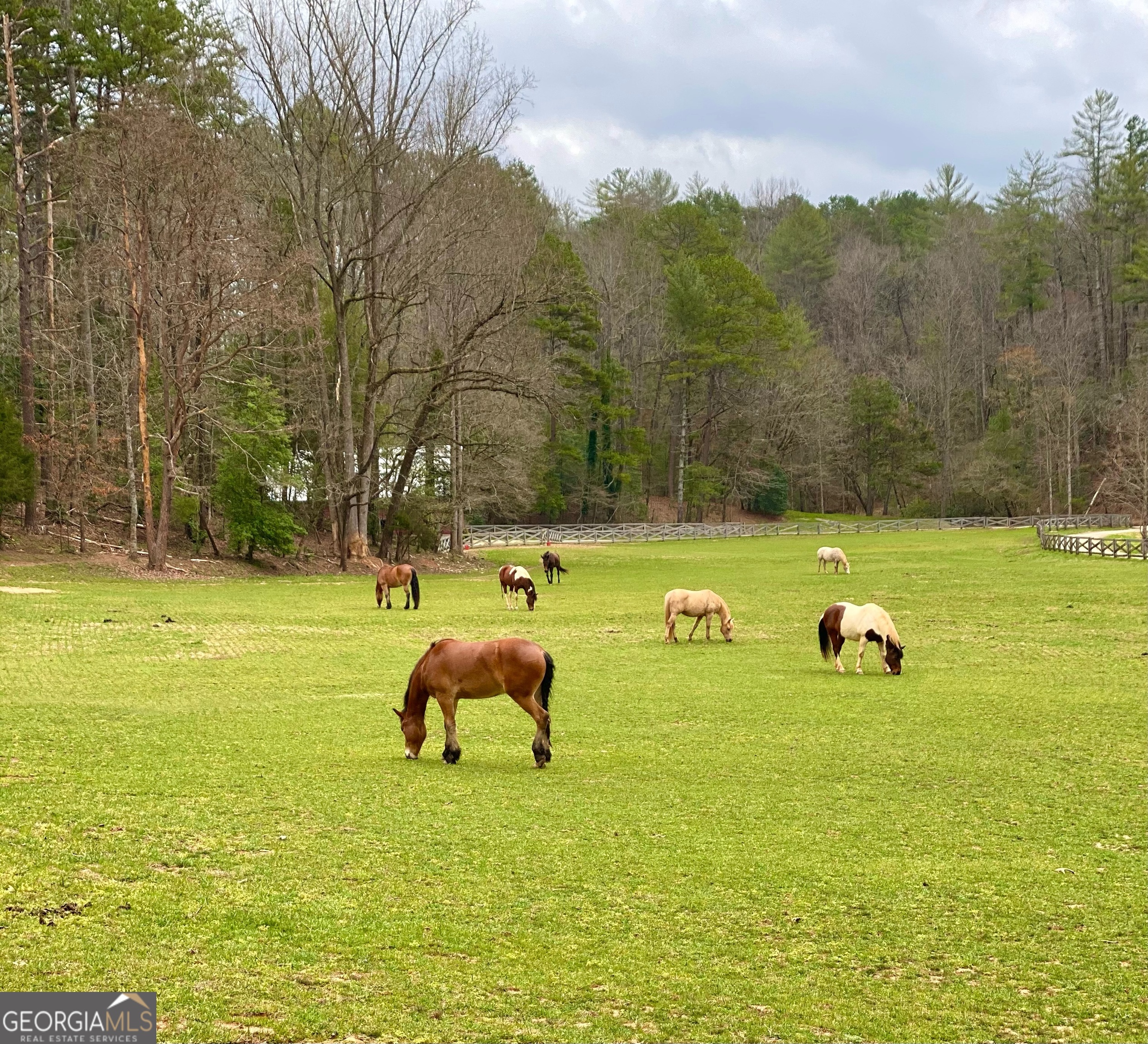 3622 Sandy Ford Road Clayton, GA 30525 - Photo 6 of 183 Gallery Image 6