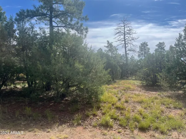 $79,900 | 5455 Red Squirrel Lane, Unit 54, Lakeside, AZ 85929