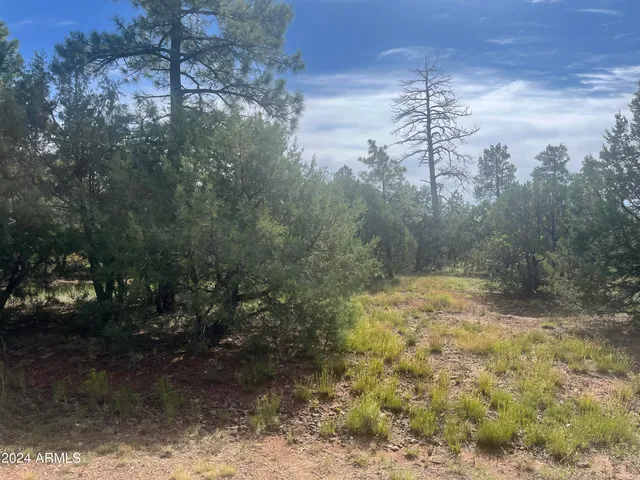 $79,900 | 5455 Red Squirrel Lane, Unit 54, Lakeside, AZ 85929