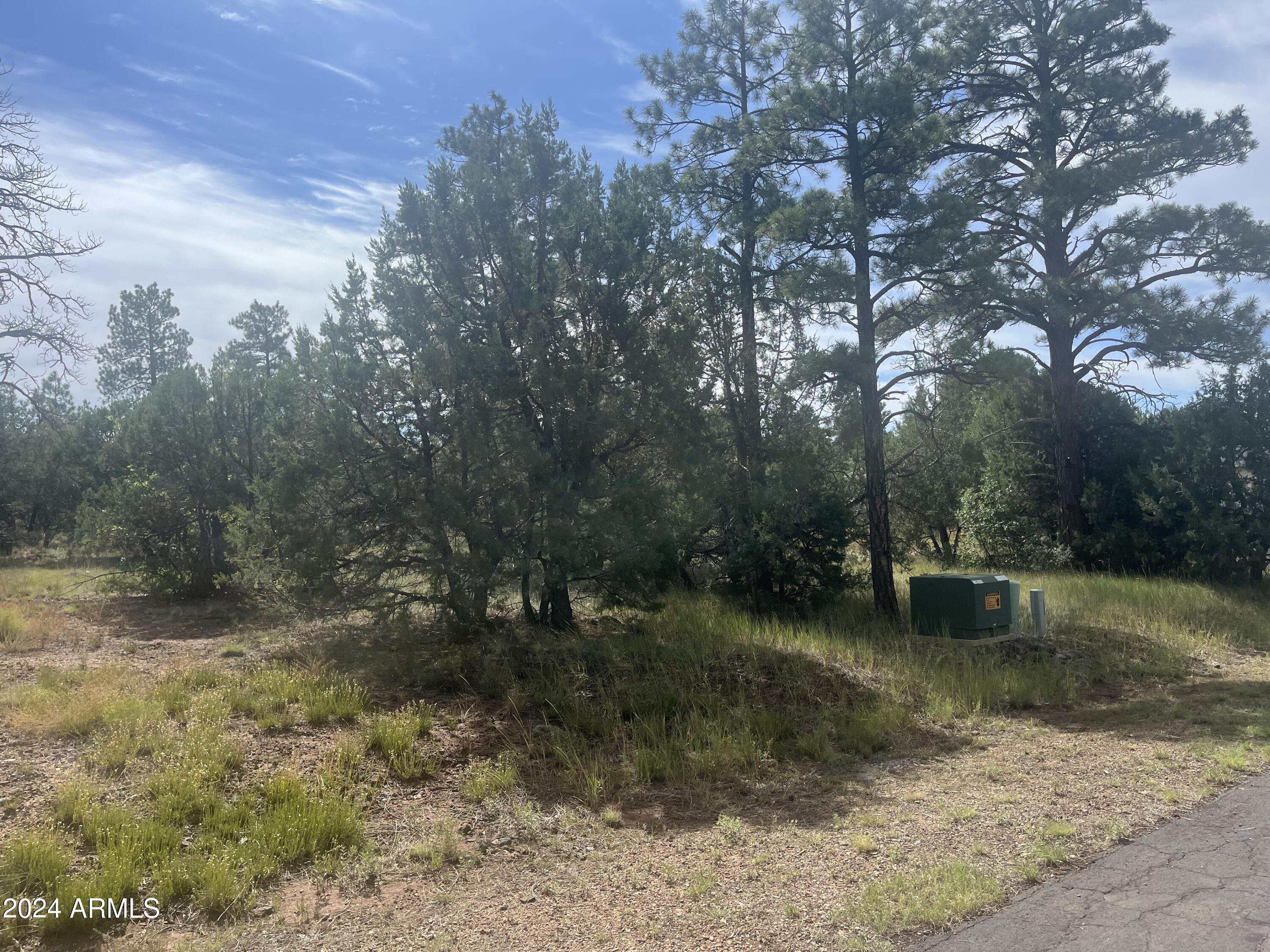 5455 Red Squirrel Lane, Unit 54 Lakeside, AZ 85929 - Photo 2 of 4 Lot 54. 3