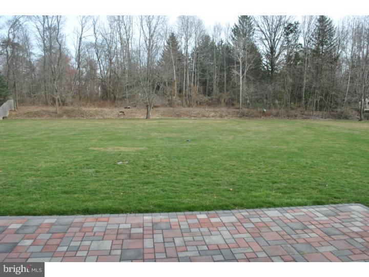 41 Pheasant Road Doylestown, PA 18901 - Photo 15 of 16 View in Back