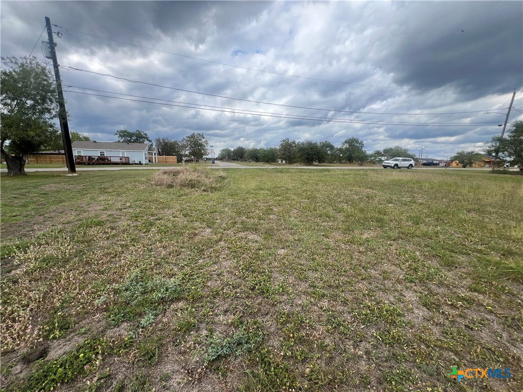 1005 Bayou Street Refugio, TX 78377 - Photo 4 of 5 a view of a field with an trees in front of it