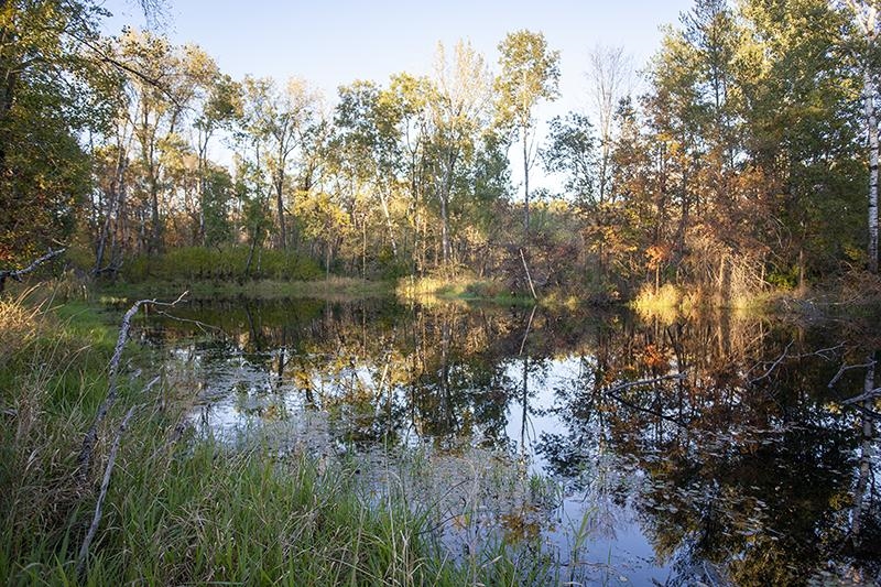 2274 15th Friendship, WI 53934 - Photo 12 of 25