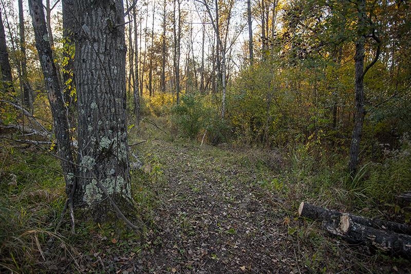 2274 15th Friendship, WI 53934 - Photo 17 of 25