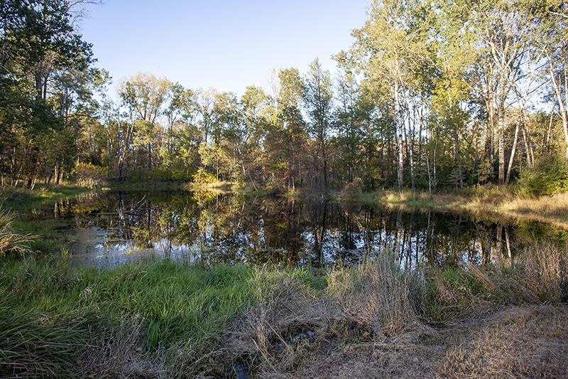 2274 15th Friendship, WI 53934 - Photo 22 of 25