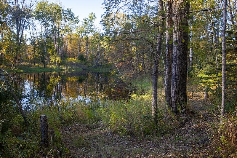 2274 15th Friendship, WI 53934 - Photo 23 of 25