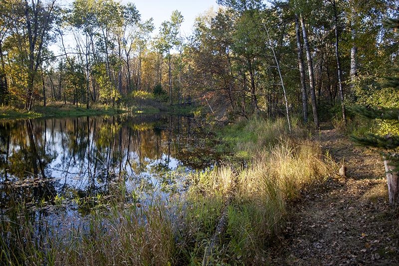 2274 15th Friendship, WI 53934 - Photo 24 of 25