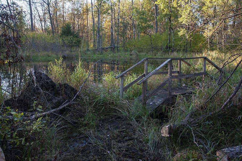 2274 15th Friendship, WI 53934 - Photo 25 of 25