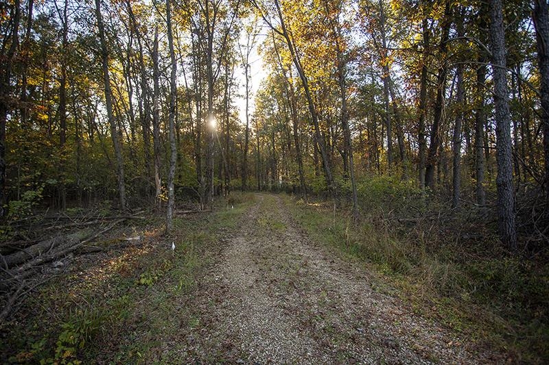 2274 15th Friendship, WI 53934 - Photo 9 of 25