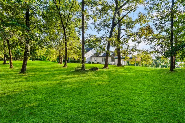 a huge green field with lots of trees