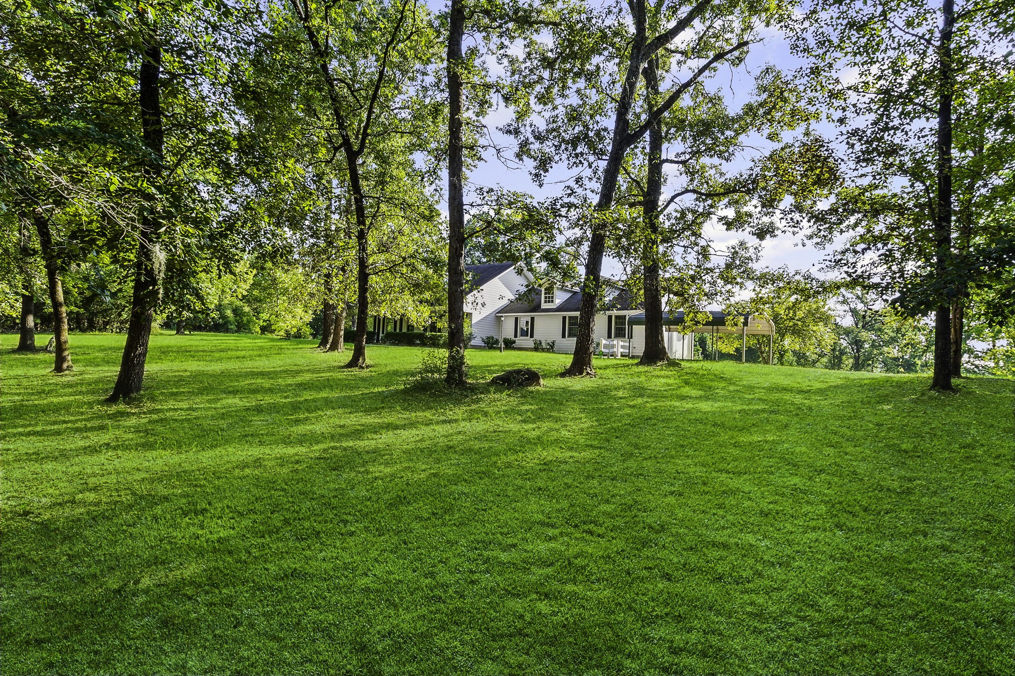 1387 Barrett's Landing Road Trinity, TX 75862 - Photo 35 of 50 a huge green field with lots of trees