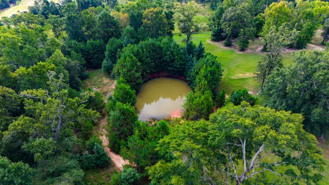 an aerial view of a house with swimming pool and garden