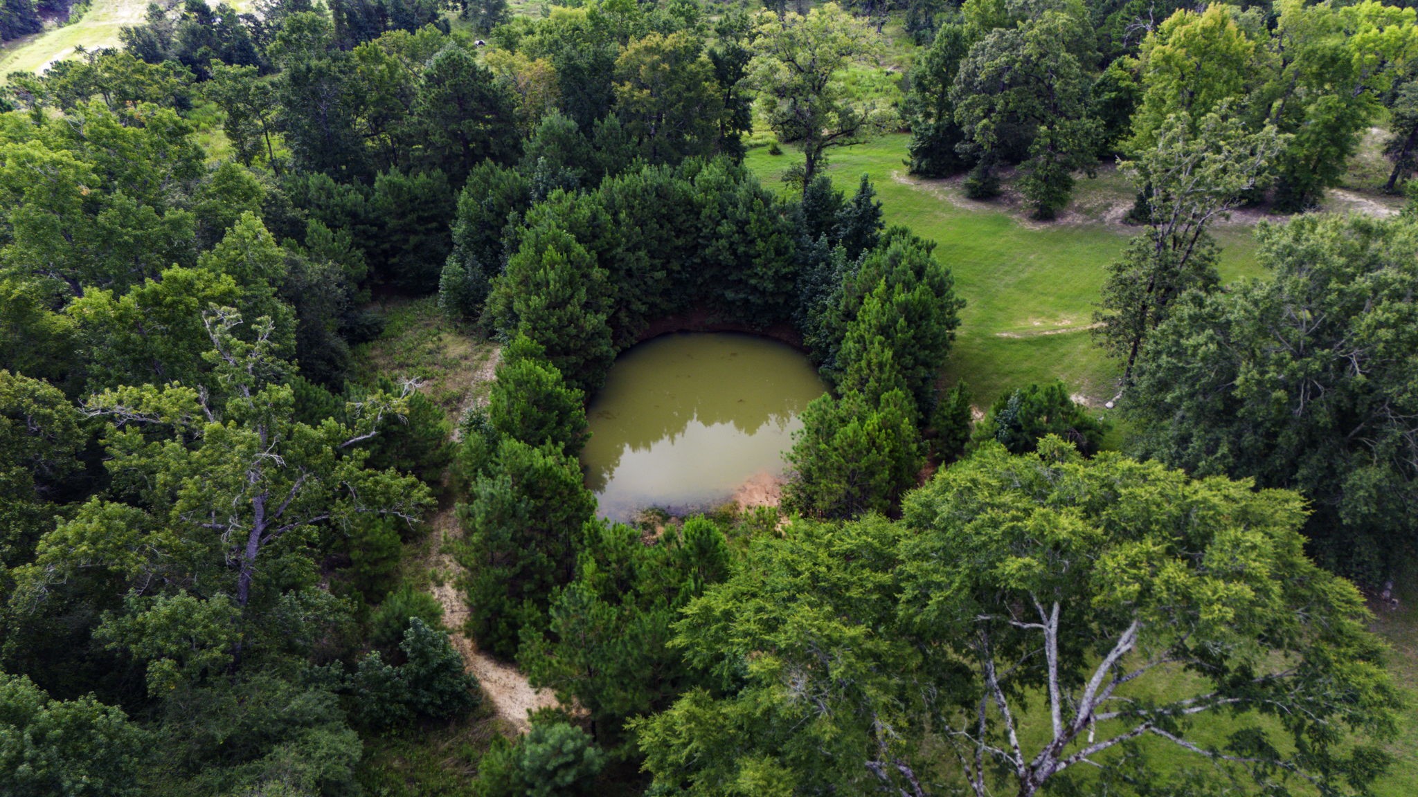 1387 Barrett's Landing Road Trinity, TX 75862 - Photo 41 of 50 an aerial view of a house with swimming pool and garden