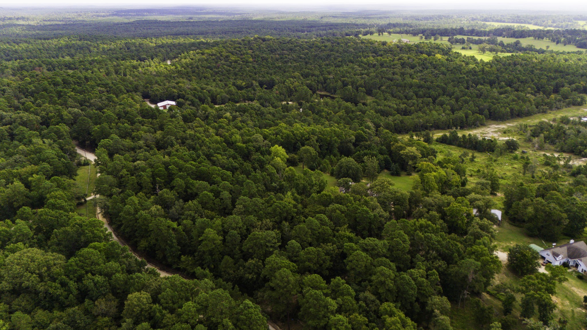 1387 Barrett's Landing Road Trinity, TX 75862 - Photo 42 of 50 a view of a city