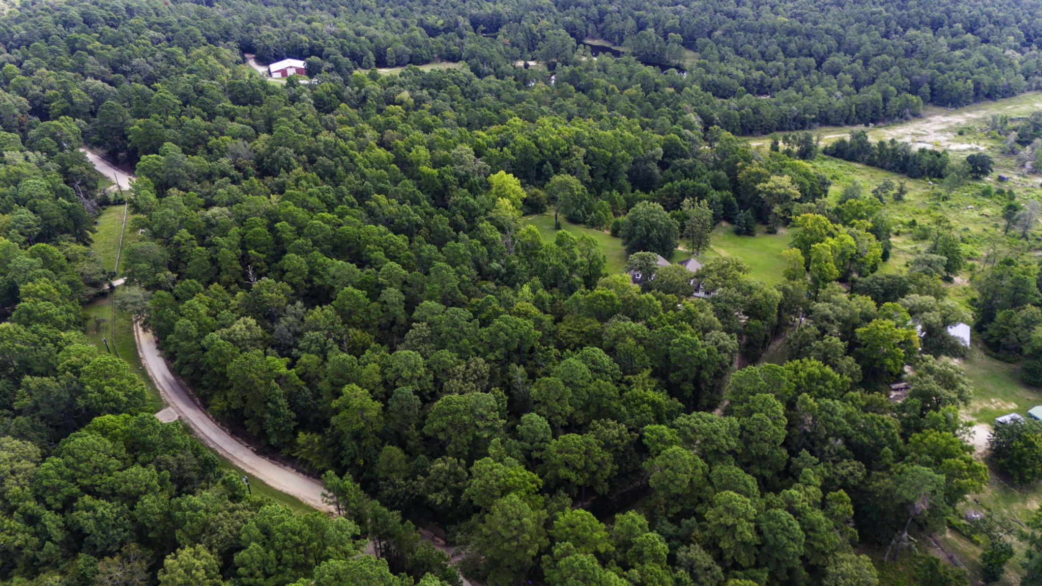 1387 Barrett's Landing Road Trinity, TX 75862 - Photo 43 of 50 an aerial view of residential house with outdoor space and trees all around