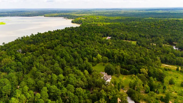 a view of a lake from a yard