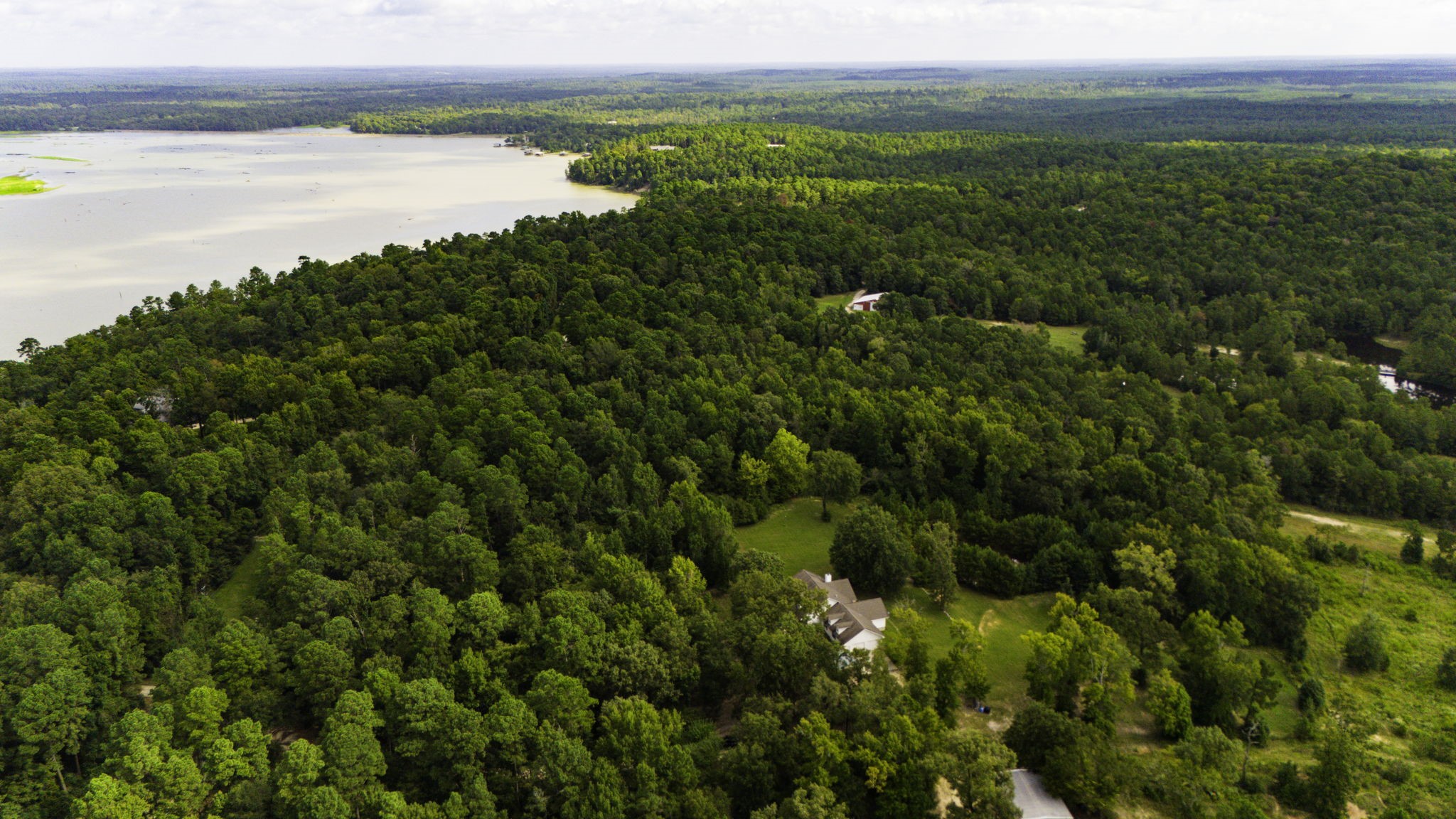 1387 Barrett's Landing Road Trinity, TX 75862 - Photo 44 of 50 a view of a lake from a yard