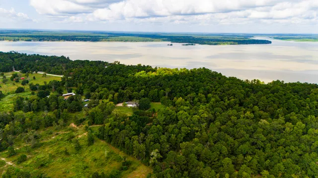 a view of a lake from a yard