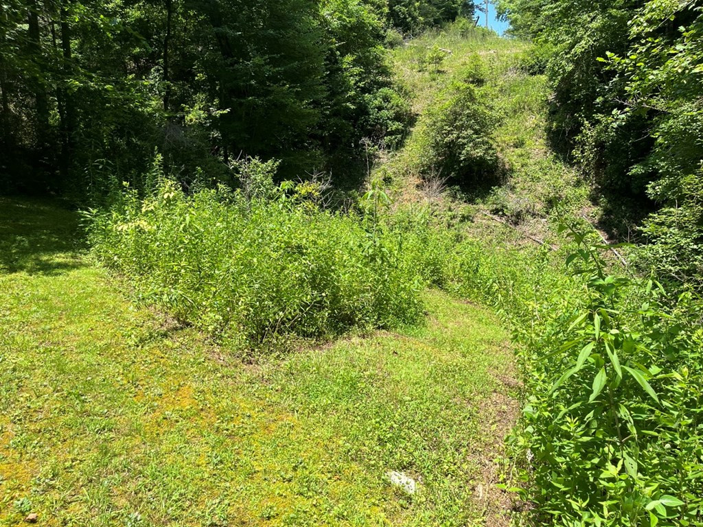 216 Harper Road Murphy, NC 28906 - Photo 28 of 28