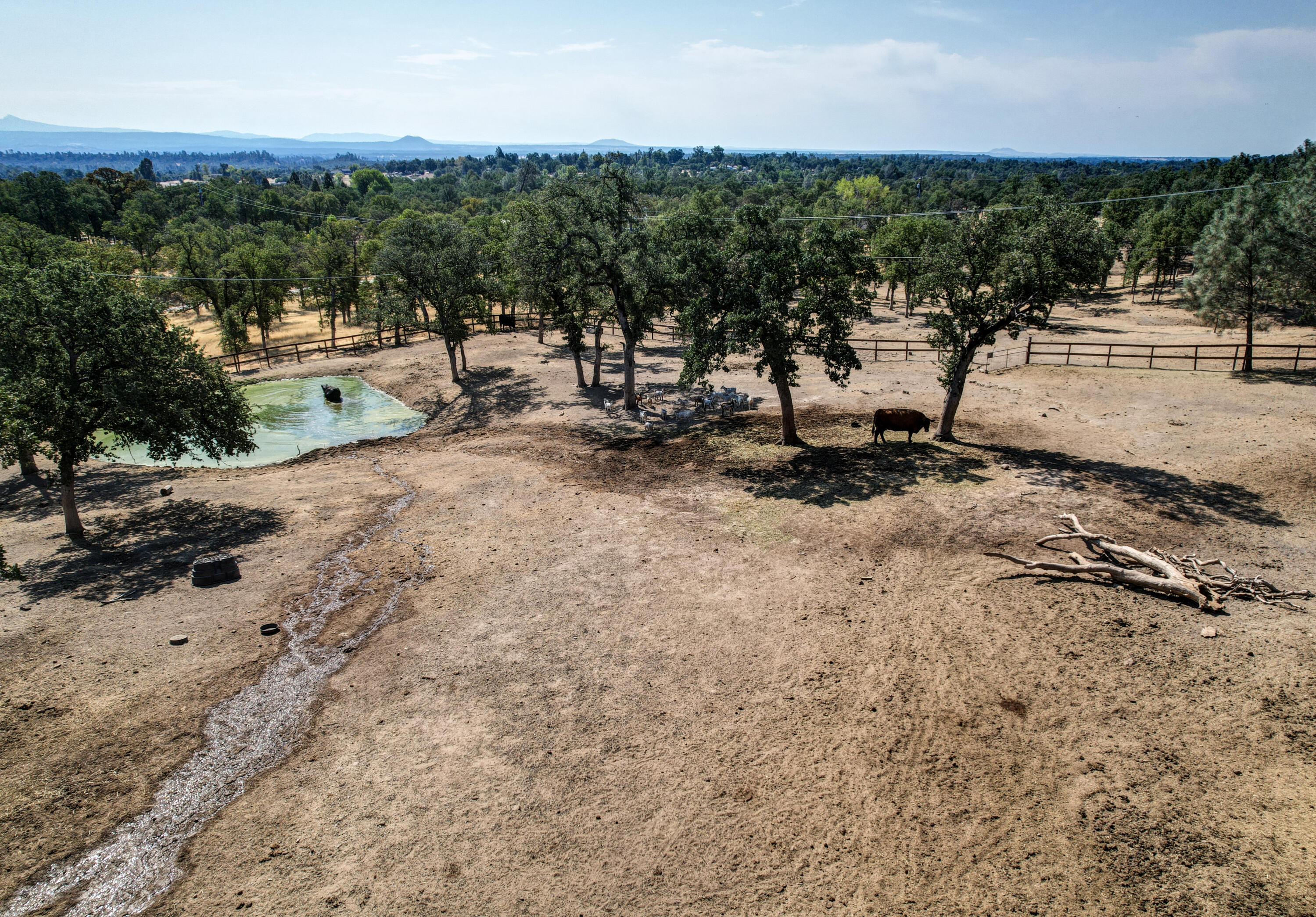 21774 Oak Meadow Road Palo Cedro, CA 96073 - Photo 14 of 97 14-DJI_0131_2_3_4_5