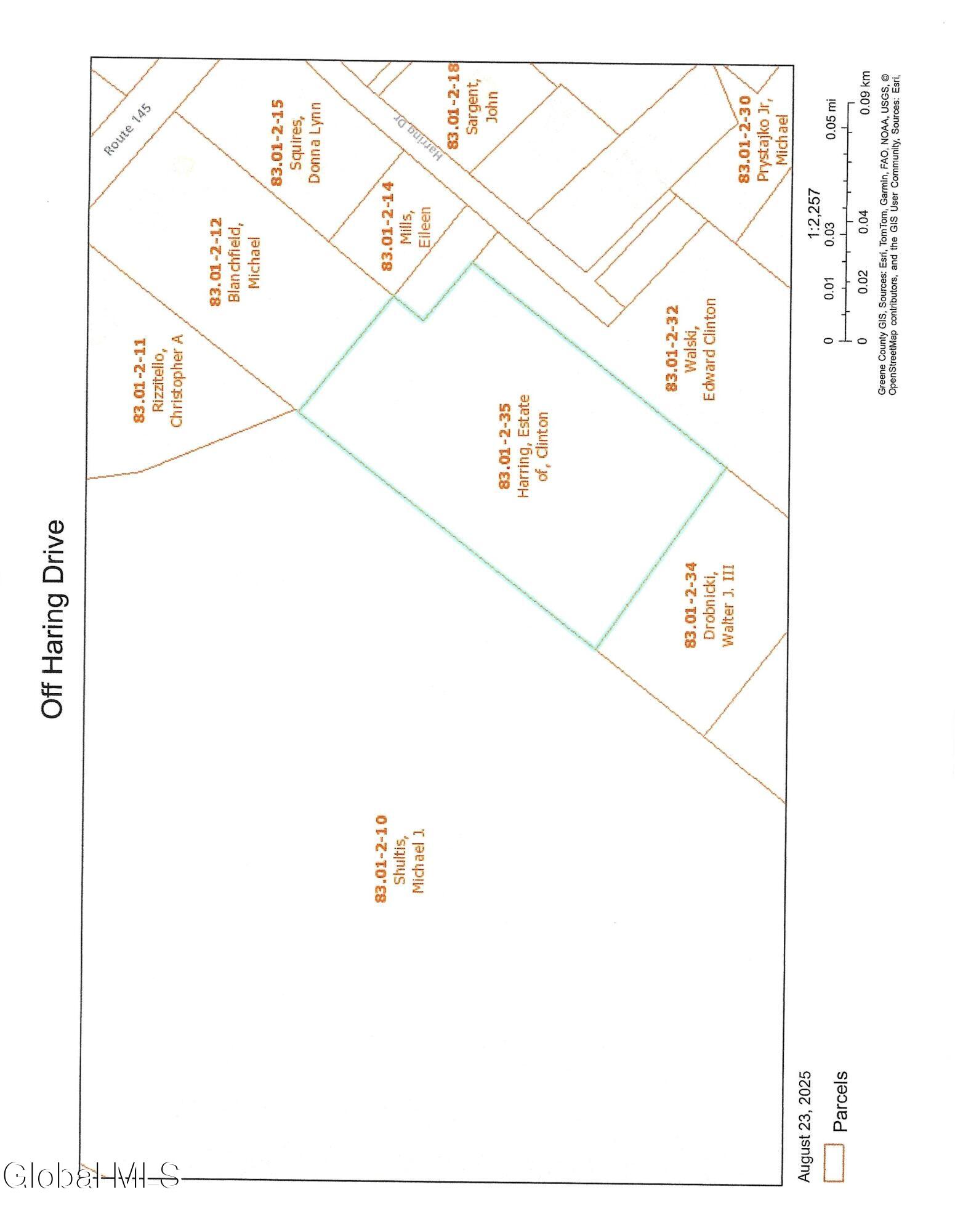 L35 Off Harring Extension Cairo, NY 12413 - Photo 2 of 3 TaxMap