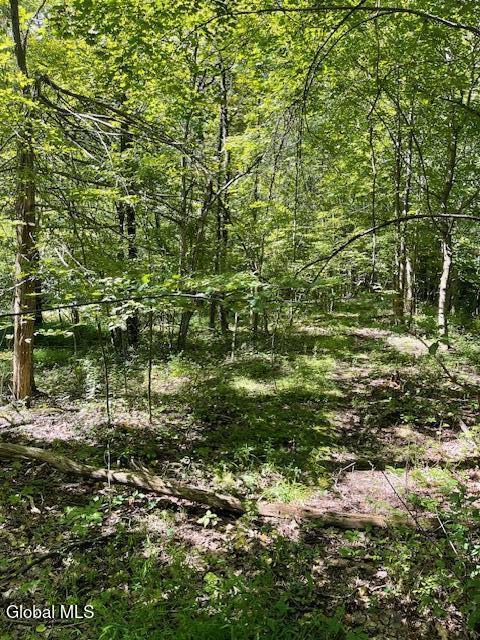 L35 Off Harring Extension Cairo, NY 12413 - Photo 3 of 3 Sun Dappled Lot