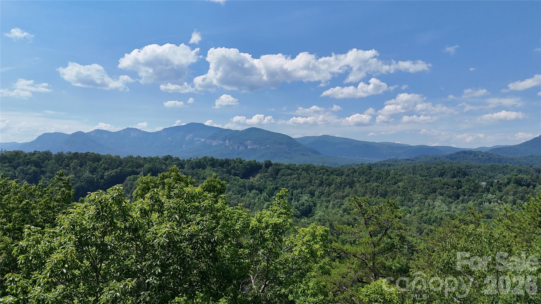 590 Boulder Ridge Lake Lure, NC 28746 - Photo 15 of 18