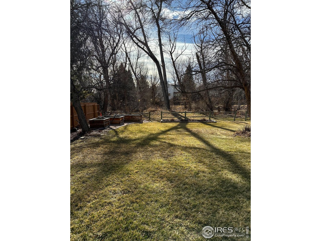 4491 Wellington Road Boulder, CO 80301 - Photo 26 of 40 a view of a yard with trees