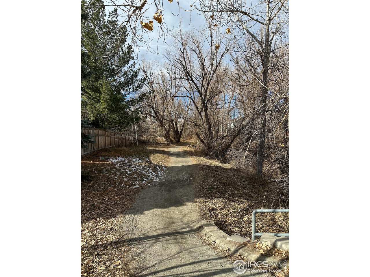 4491 Wellington Road Boulder, CO 80301 - Photo 29 of 40 a picture of a tree