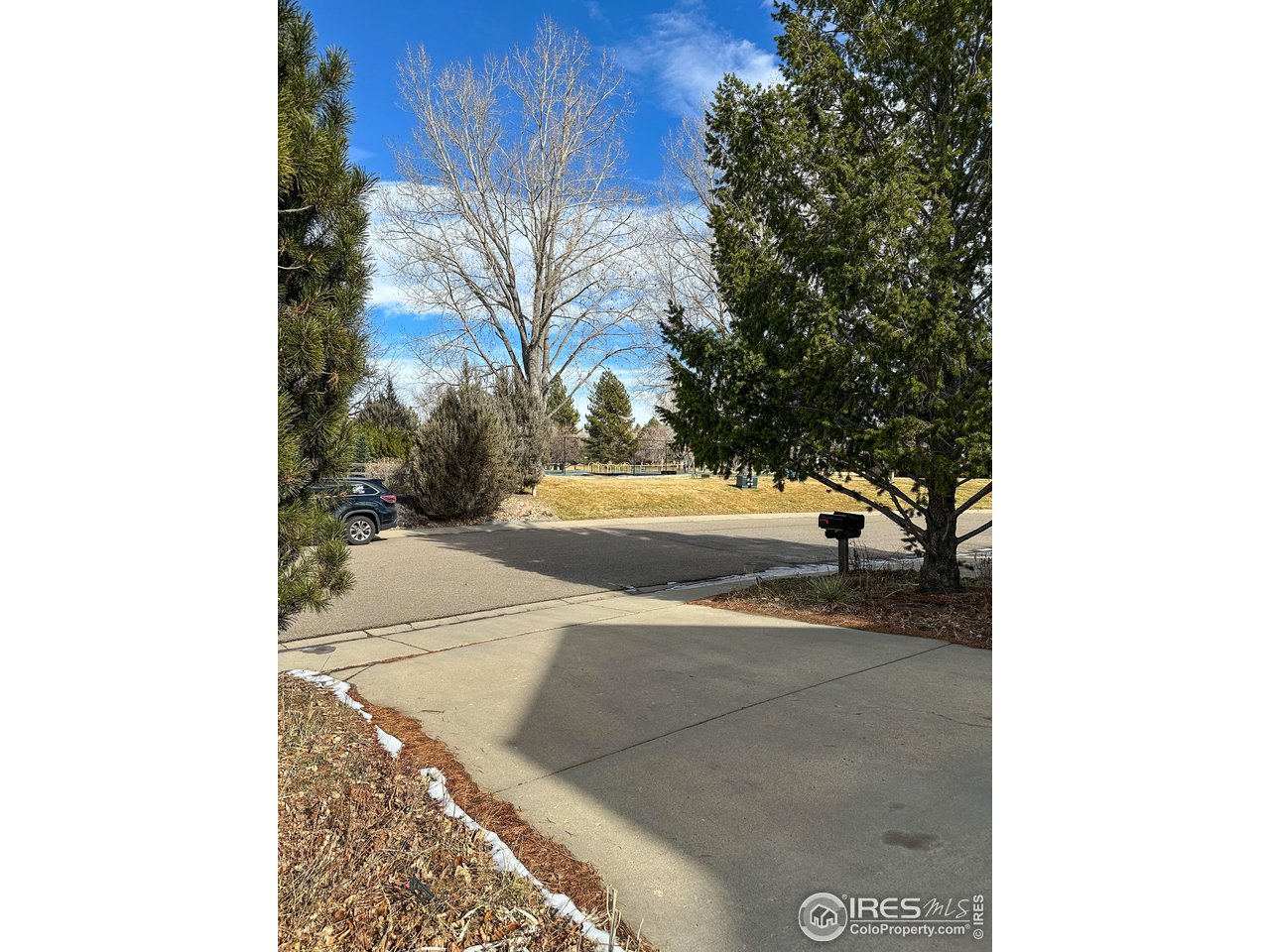 4491 Wellington Road Boulder, CO 80301 - Photo 33 of 40 a view of a yard with trees