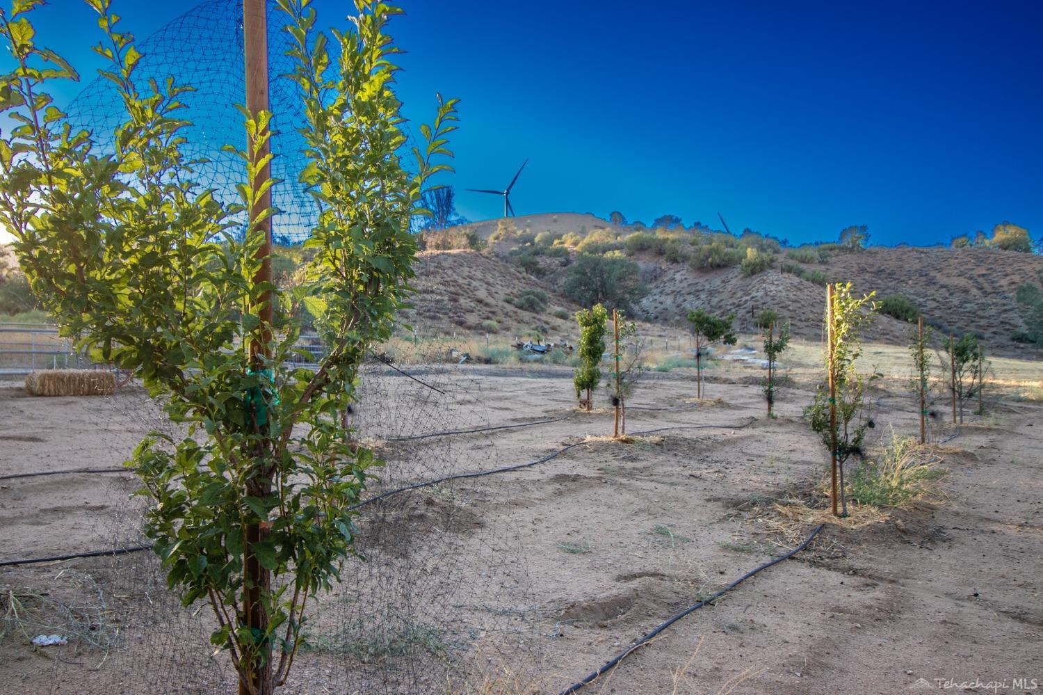 10945 Cameron Canyon Road Tehachapi, CA 93501 - Photo 49 of 75 Gallery Image 49