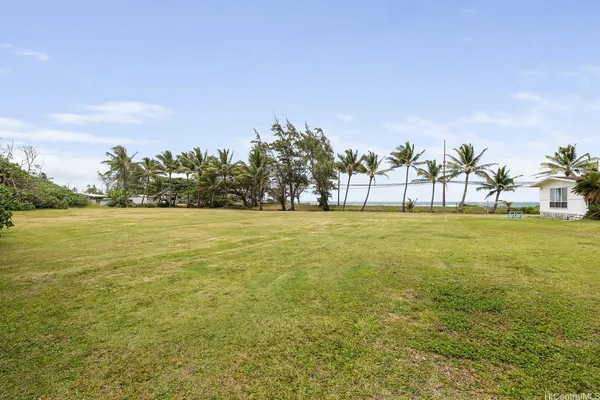 a view of lawn chairs and palm trees